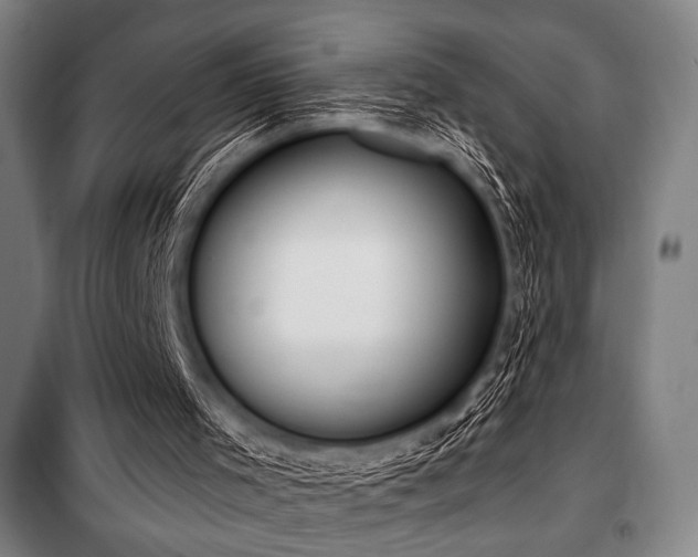 X0000100330001200806051545