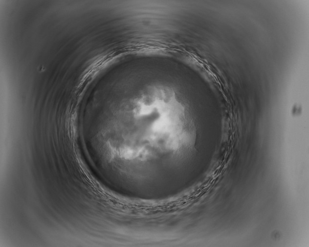 X0000100330002200806051545