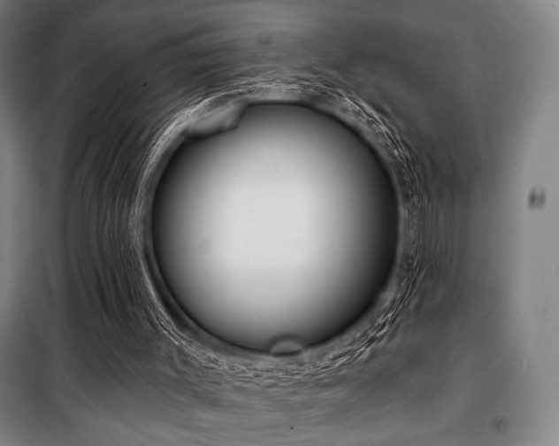 X0000100330003200806051545