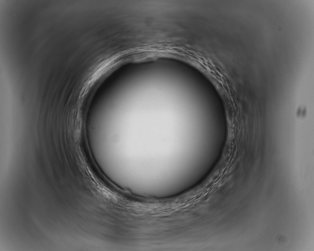 X0000100330005200806051545