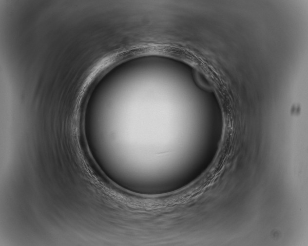 X0000100330006200806051545