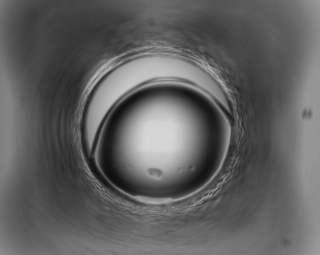 X0000100330007200806051545