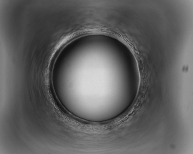 X0000100330008200806051545