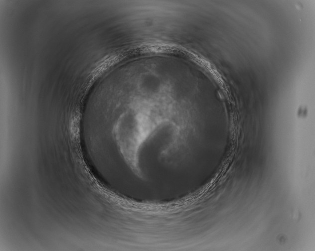 X0000100330010200806051545