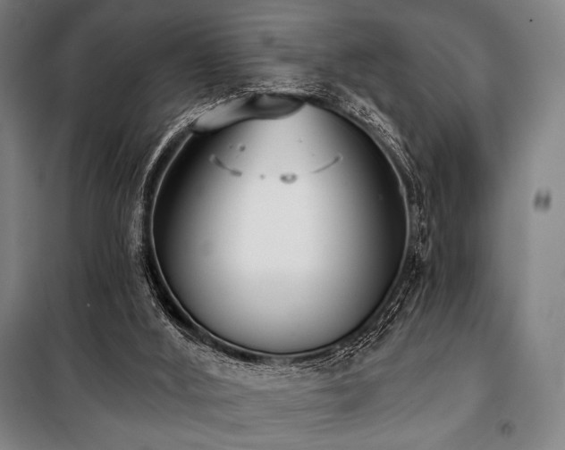 X0000100330012200806051545