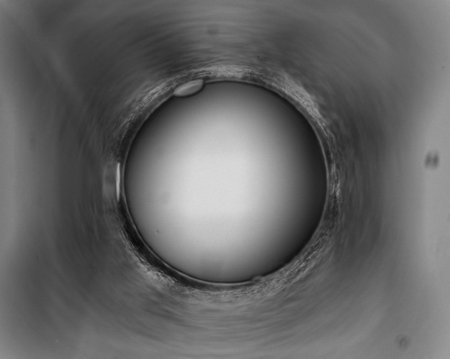 X0000100330013200806051545