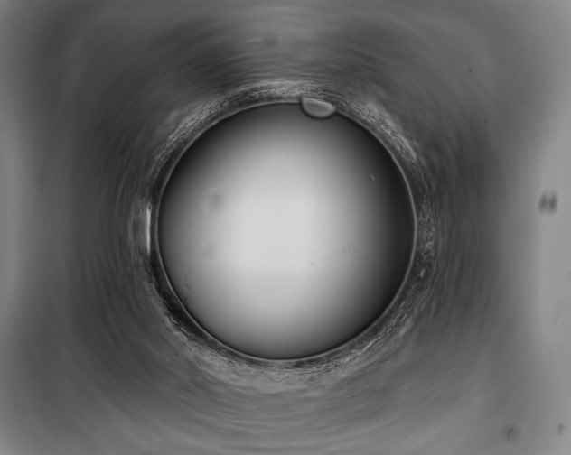 X0000100330014200806051545