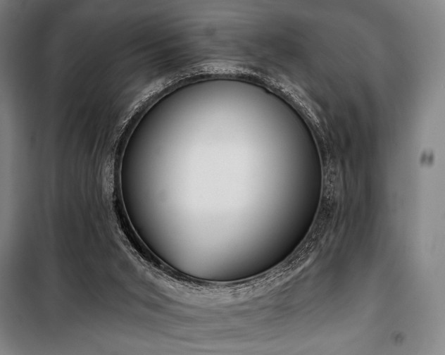 X0000100330015200806051545