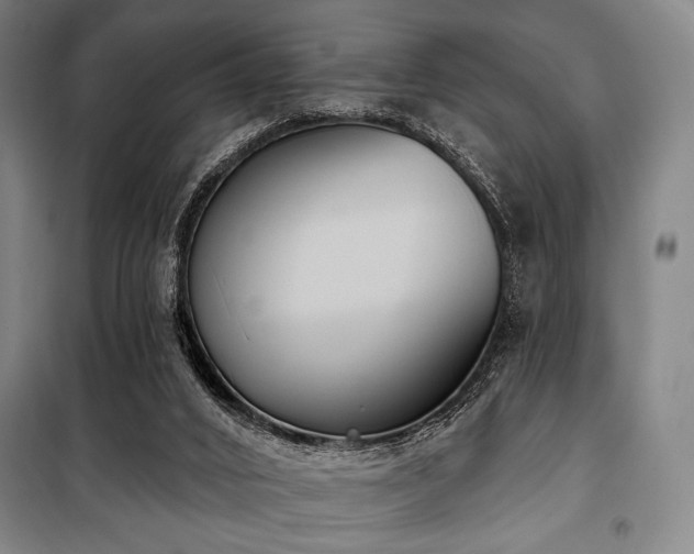 X0000100330016200806051545