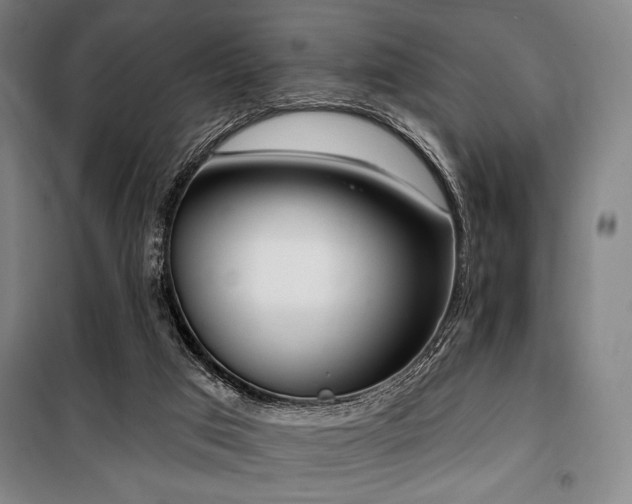 X0000100330017200806051545