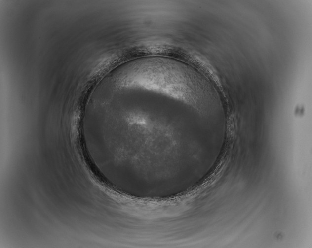 X0000100330018200806051545