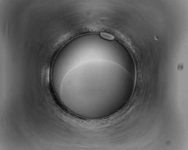 X0000100330019200806051545