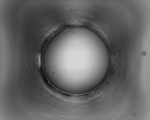 X0000100330020200806051545