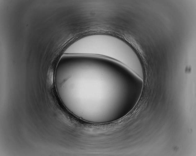 X0000100330021200806051545