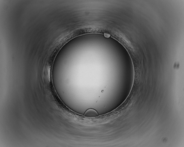 X0000100330022200806051545