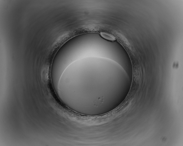 X0000100330023200806051545