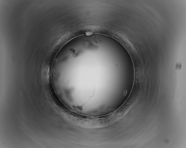 X0000100330024200806051545