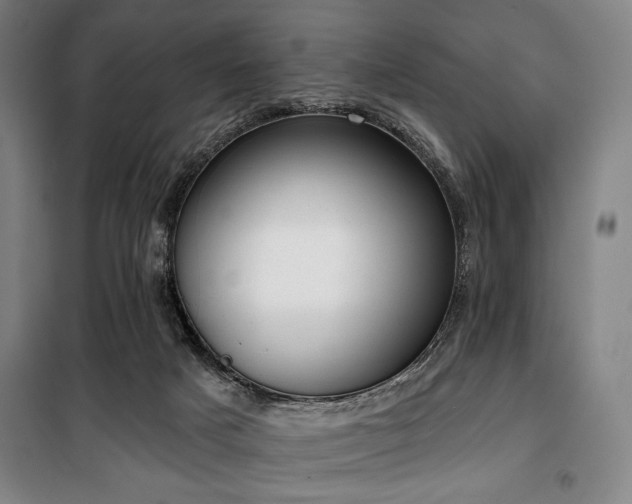 X0000100330025200806051545