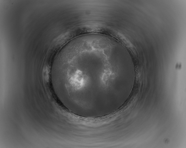 X0000100330026200806051545