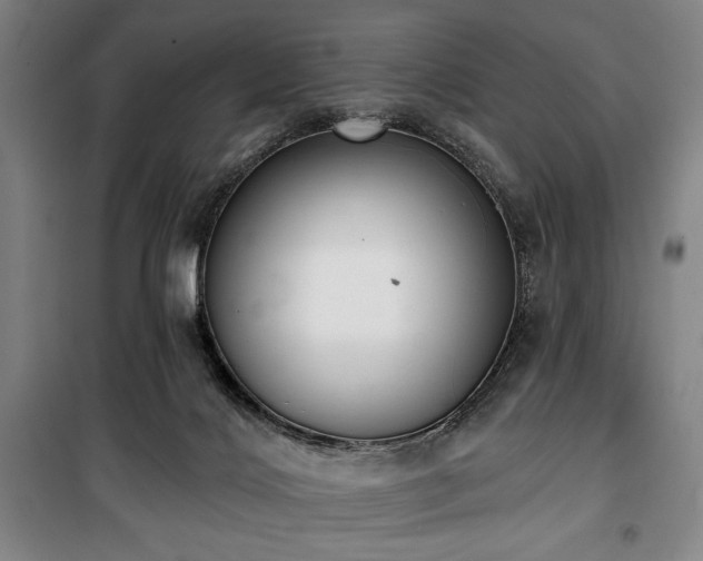 X0000100330028200806051545