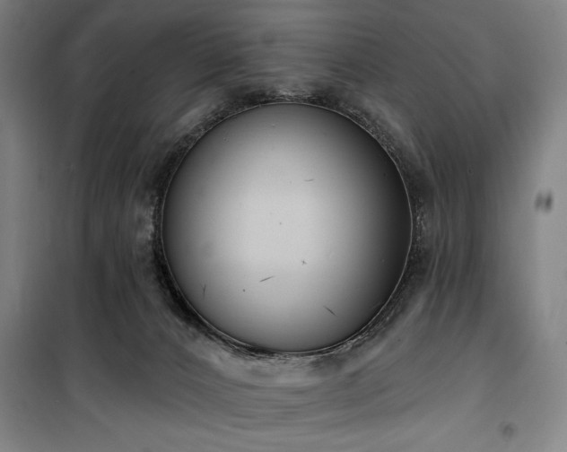 X0000100330032200806051544