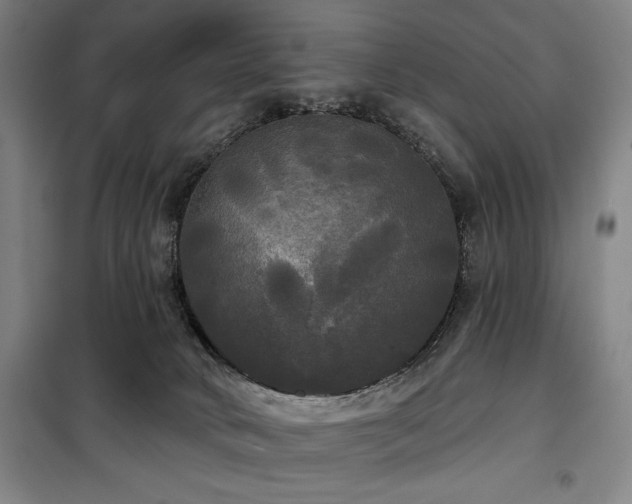 X0000100330034200806051544