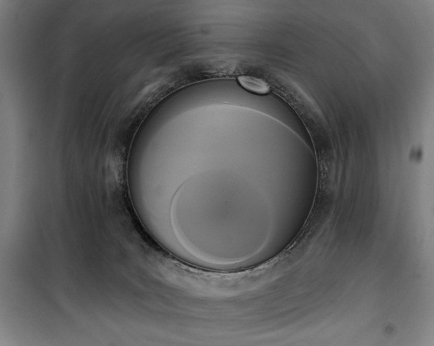 X0000100330035200806051544