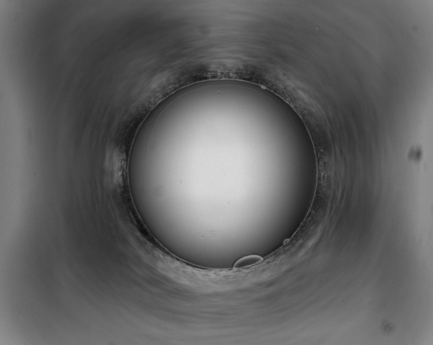 X0000100330038200806051544