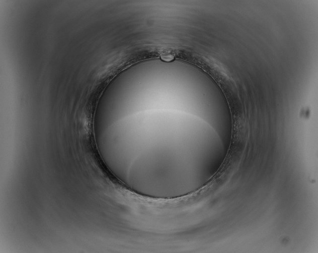 X0000100330039200806051544