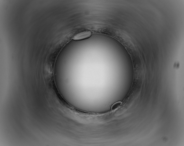 X0000100330040200806051544