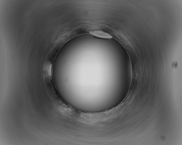 X0000100330041200806051544