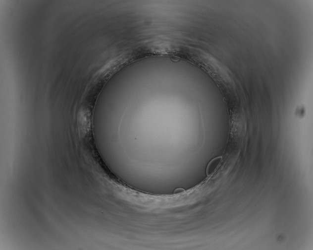 X0000100330043200806051544