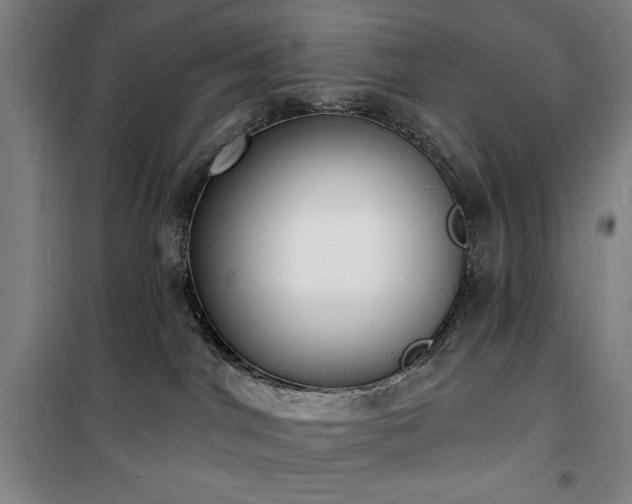 X0000100330044200806051544