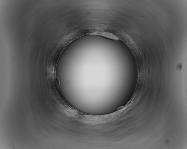 X0000100330045200806051544