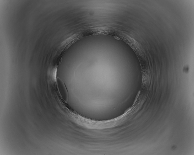 X0000100330047200806051544