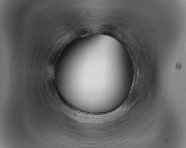 X0000100330048200806051544