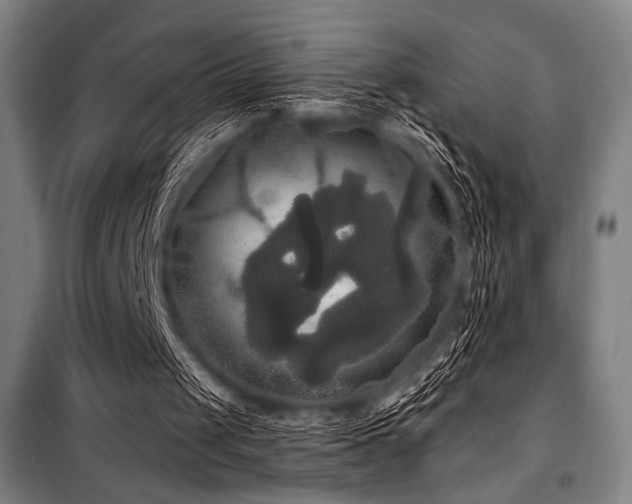 X0000100330049200806051544