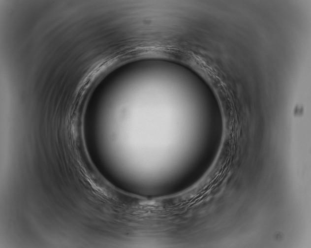 X0000100330050200806051544