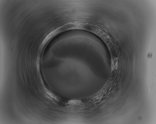 X0000100330051200806051544