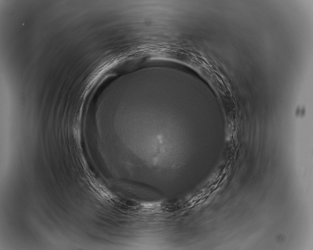 X0000100330052200806051544