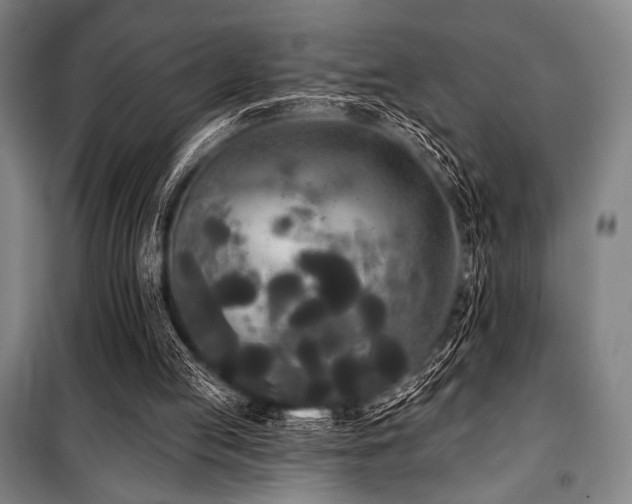 X0000100330053200806051544