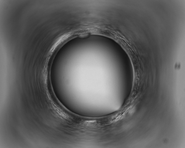 X0000100330054200806051544