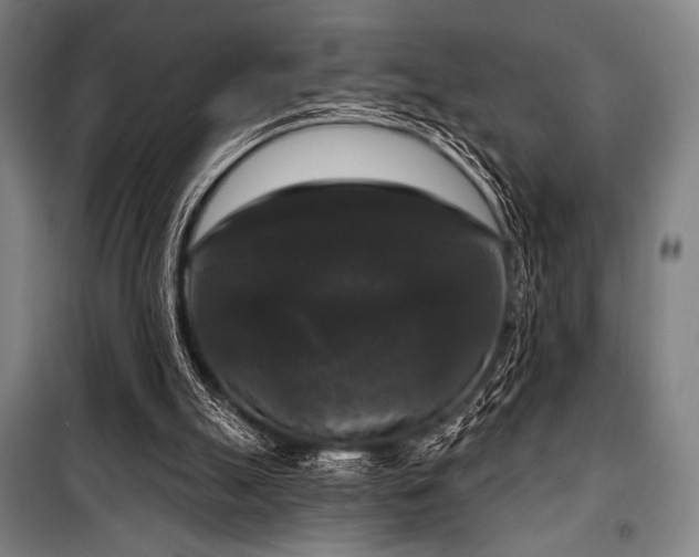 X0000100330055200806051544