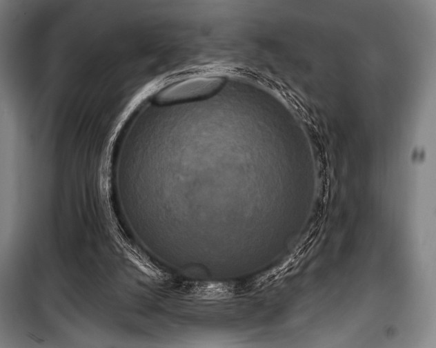 X0000100330056200806051544