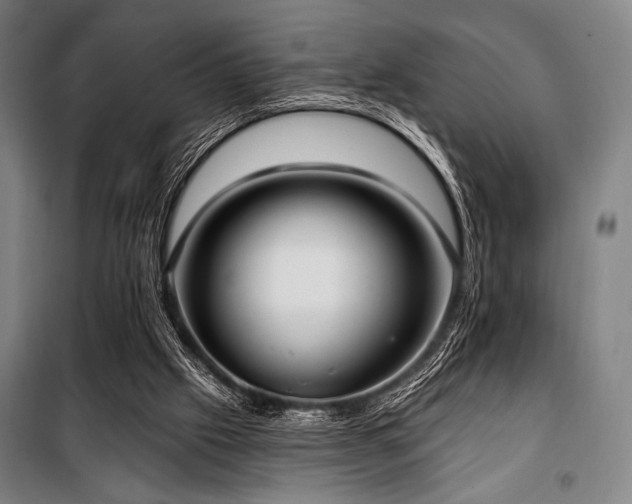 X0000100330057200806051544