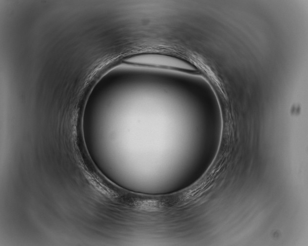 X0000100330058200806051544