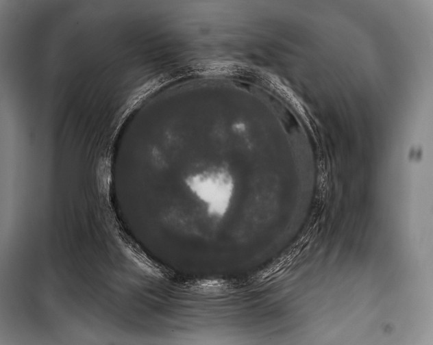 X0000100330059200806051544