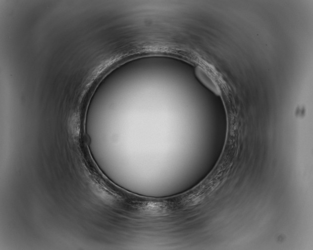 X0000100330060200806051544