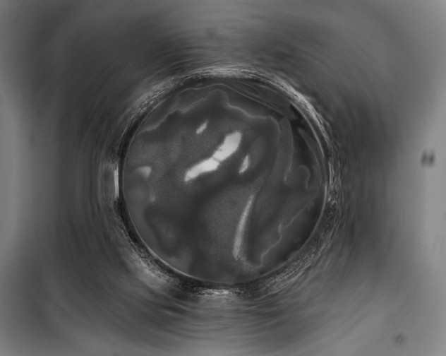 X0000100330061200806051544