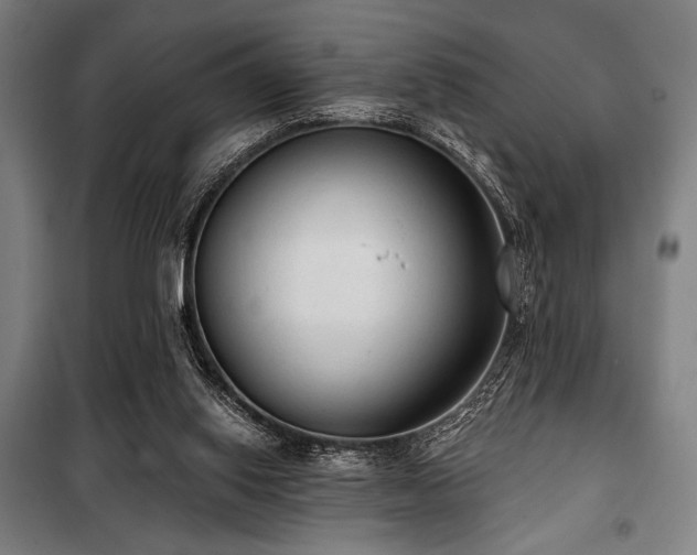 X0000100330062200806051544